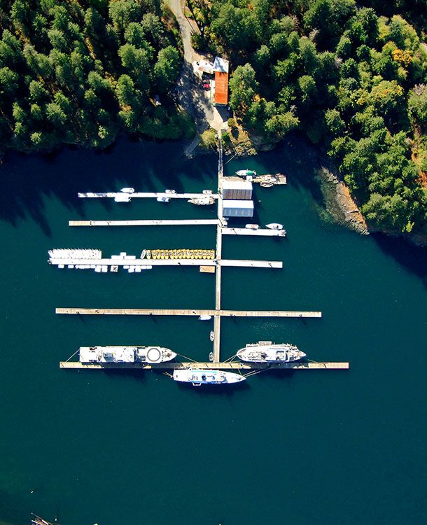 April Point Resort arial view with forest on the top and boats at the docks