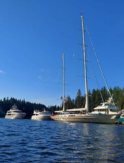 Yachts and boats on the ocean at a marina with forest and blue skies in the background