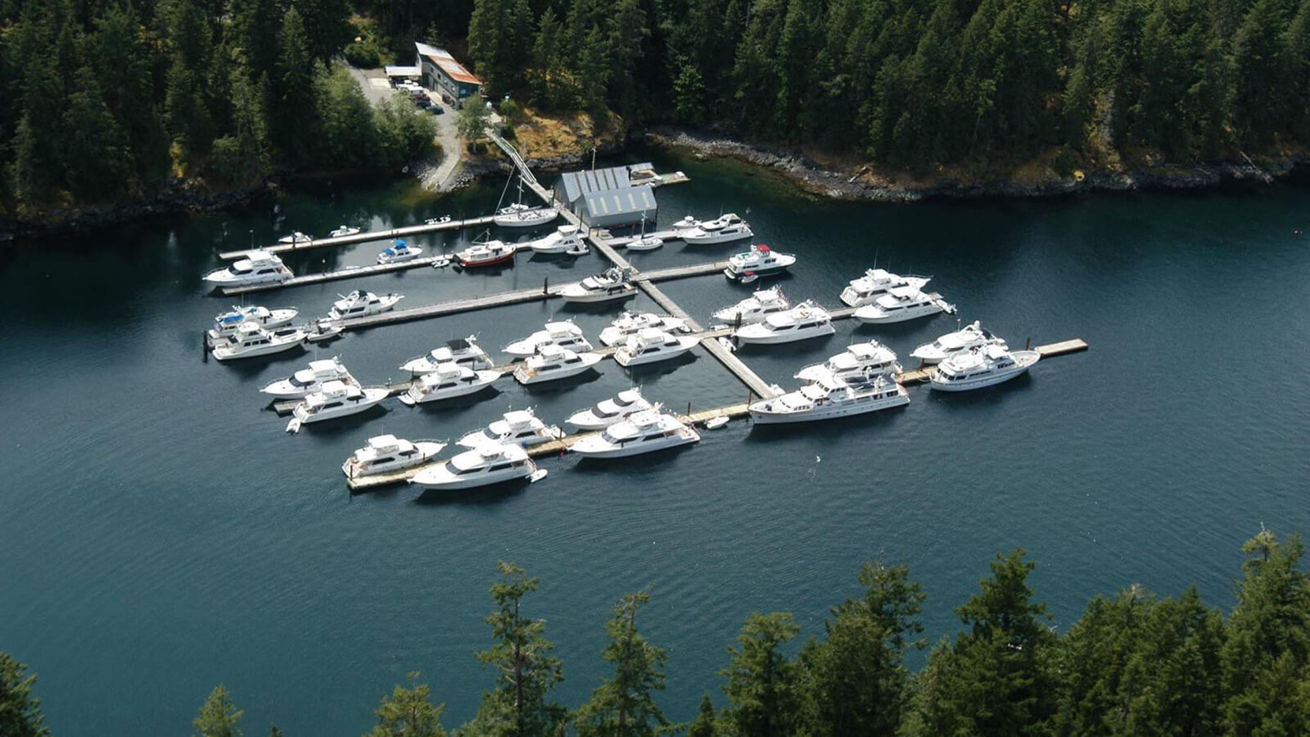 April Point Marina arial photo with ocean and forest surrounding it