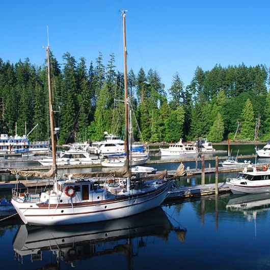 April Point Marina docks with boats and forest in the background