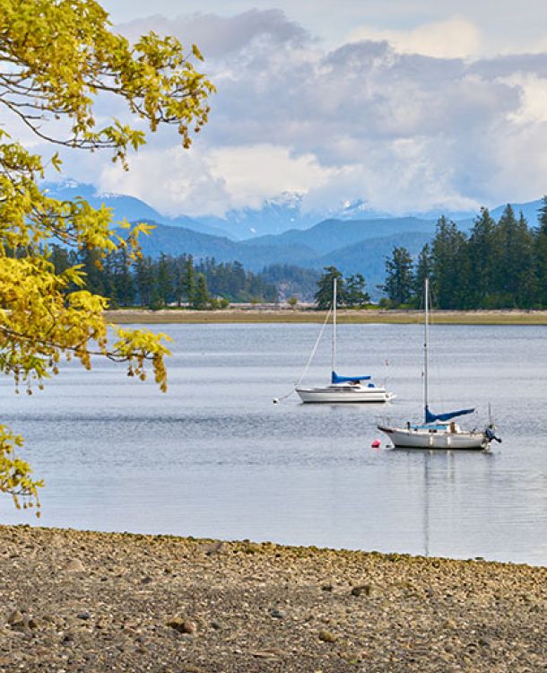 Quadra Island shoreline with two boats on the water, forest and mountains in the background