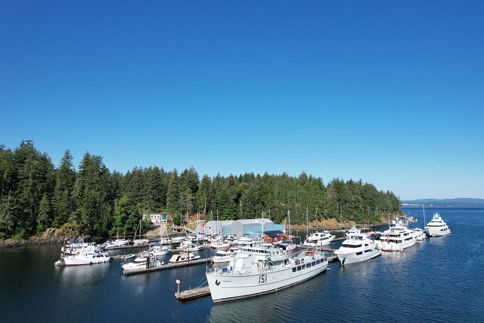 Yachts and boats on the ocean at a marina with forest and blue skies in the background